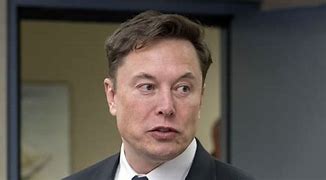 Image result for Elon Musk South Africa