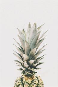 Image result for Pineapple Photography
