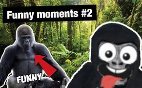 Image result for Gorilla Tag Funny Moments