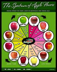 Image result for Tart Apples Varieties