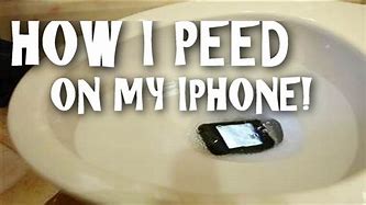 Image result for How to Tell If iPhone Has Pee Damage