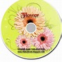 Image result for CD Cover Template Photoshop