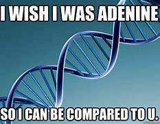 Image result for DNA Meme Chemistry