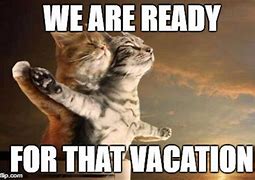 Image result for Vacation Mode On Meme