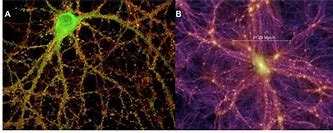 Image result for Brain Neuraons vs Universe