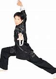 Image result for Deadliest Kung Fu Styles