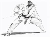 Image result for Martial Arts Videos