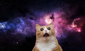 Image result for Funny Galaxy Backgrounds