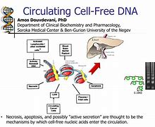 Image result for Cell-Free DNA