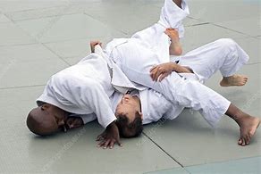 Image result for USA Jiu Jitsu