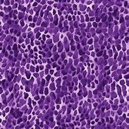 Image result for Purple Leopard Print Fabric