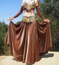 Image result for Professional Belly Dance Costumes