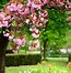 Image result for Home Outdoor Image for Background