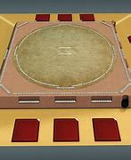 Image result for Sumo Ring
