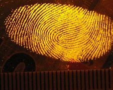 Image result for Fingerprint Scanner Device