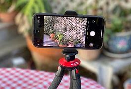Image result for iPhone 12 Pro Max Camera Quality