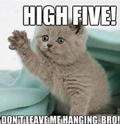 Image result for Great Job Cat Meme