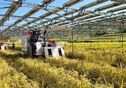 Image result for Rice Solar Energy Project