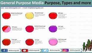 Image result for general-purpose