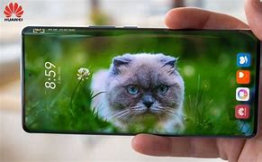 Image result for Huawei P60 Pro Sample Shots