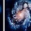 Image result for Hubble Telescope Lens