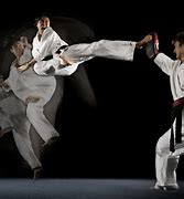 Image result for Modern Martial Artist