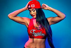 Image result for WWE Nikki Bella News