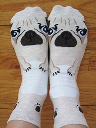 Image result for Socks with Pugs