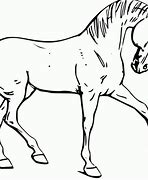 Image result for Horse Kids