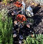 Image result for Metal Rose Sculpture