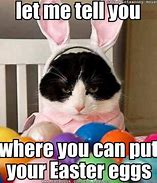 Image result for Funny Easter Cat Memes