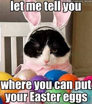 Image result for Funny Memes with Kittens for Easter