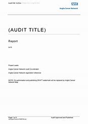 Image result for Internal Audit Report Template