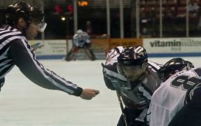 Image result for The Natural National Hockey