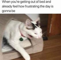 Image result for Dragging Out of Bed Meme