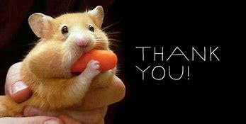 Image result for Thank You for Food Meme