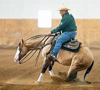 Image result for Reining Horse Sliding Stop