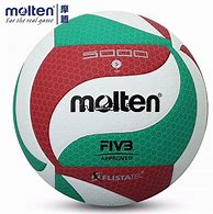 Image result for Molten Indoor Volleyball