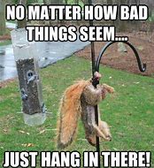 Image result for Just Hang in There Meme