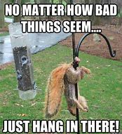 Image result for Funny Hang On Memes