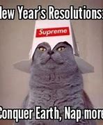 Image result for New Year's Eve Cat Memes