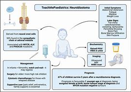 neuroblastoma 的图像结果