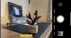Image result for iPhone Portrait Mode Objects
