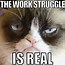 Image result for Funny Memes for Work Stress