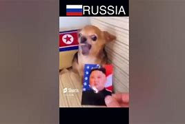 Image result for Stand by Putin Meme
