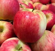 Image result for Ambrosia Apple