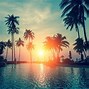 Image result for Palm Tree Sunset Pictures
