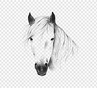 Image result for Whitehorse