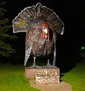 Image result for World's Largest Turkey