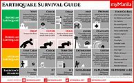 Image result for Earthquake Survival Guide
